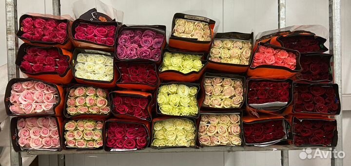 Цветы без посредников