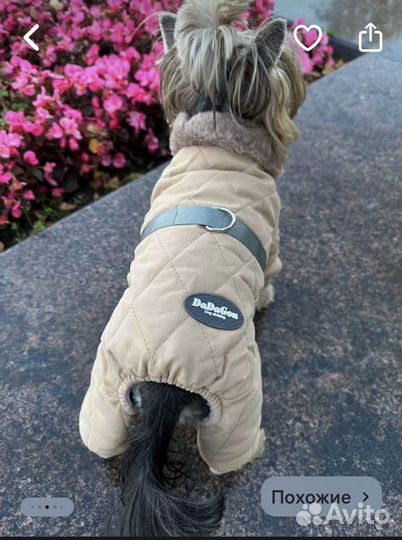 Теплый комбинезон для собак мелких пород