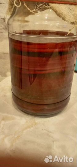 Чайный гриб (комбуча) и гриб (винный уксус)