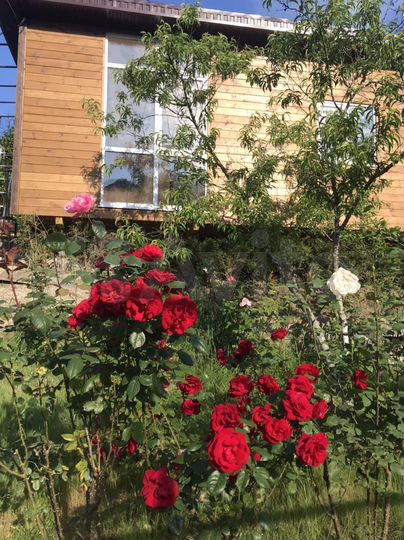 Коттедж 75 м² на участке 30 сот.