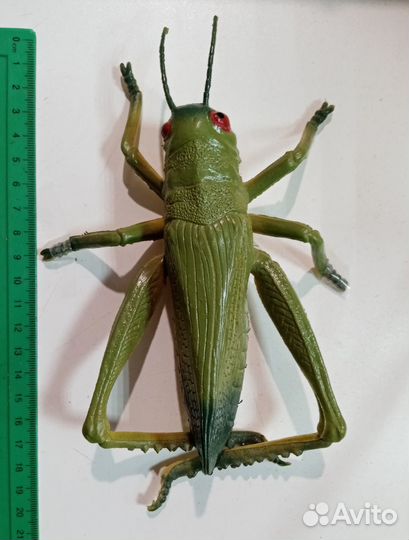 Насекомые - большие фигурки