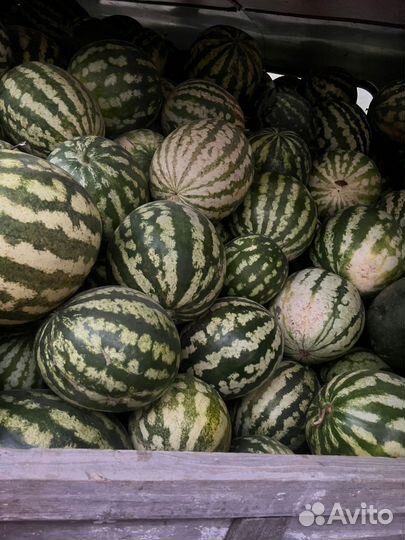 Арбузы