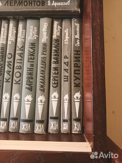 Книги из серии жзл