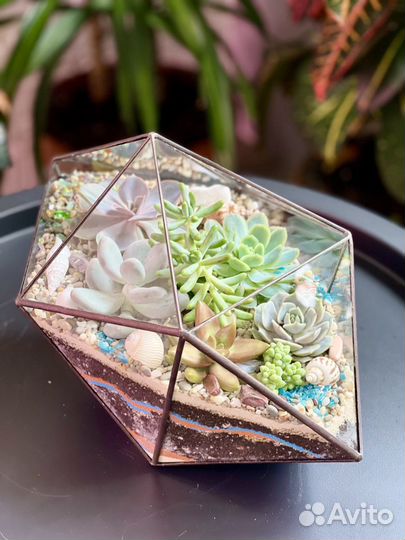 Флорариум «Марс» средний