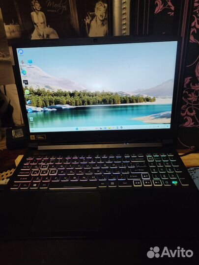 Acer nitro 5 rtx 3070