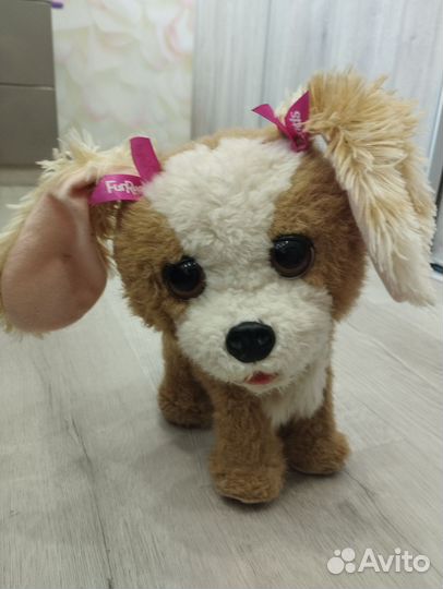 Интерактивная собака