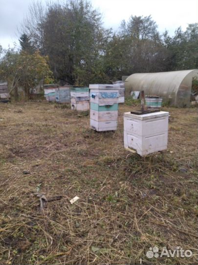 Улей для пчел