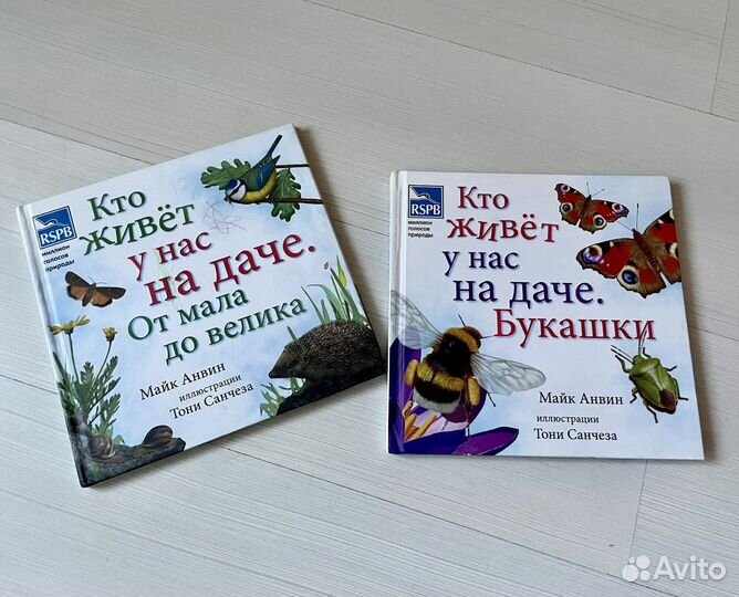 Кто живет у нас на даче. Буквшки