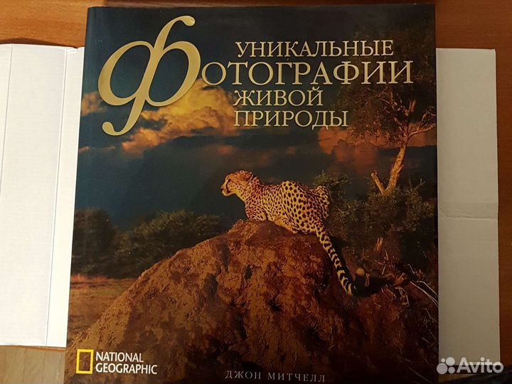 Джон Митчелл Уникальные фотографии живой природы