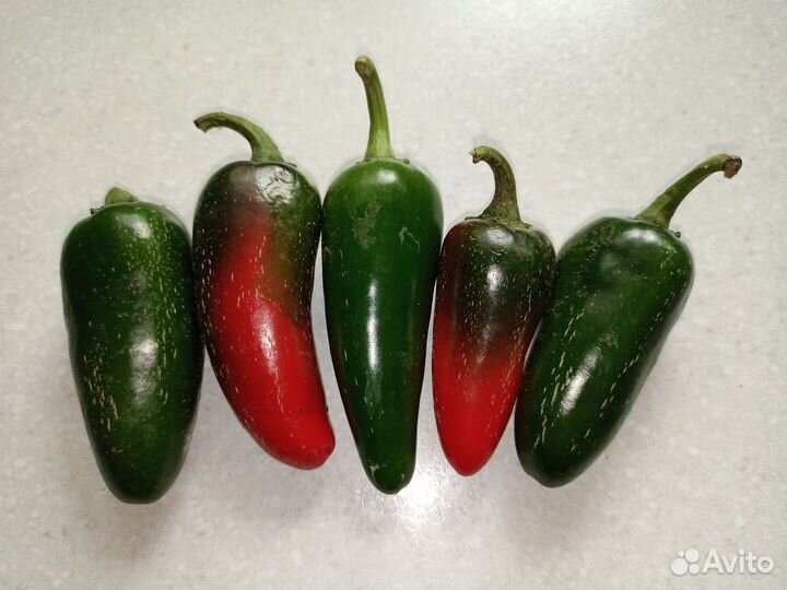 Семена перца халапеньо