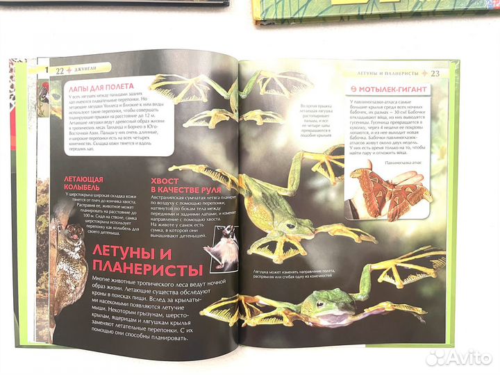 Детские книги энциклопедии животные