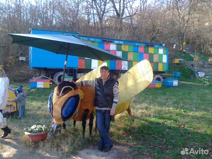 Продаю Пчела Пакеты