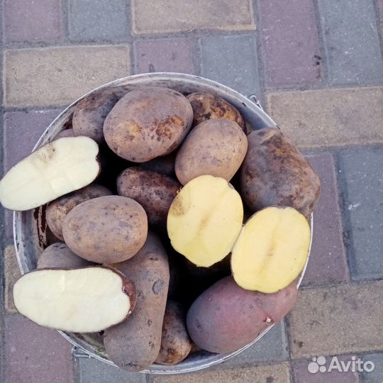 Продукты питания