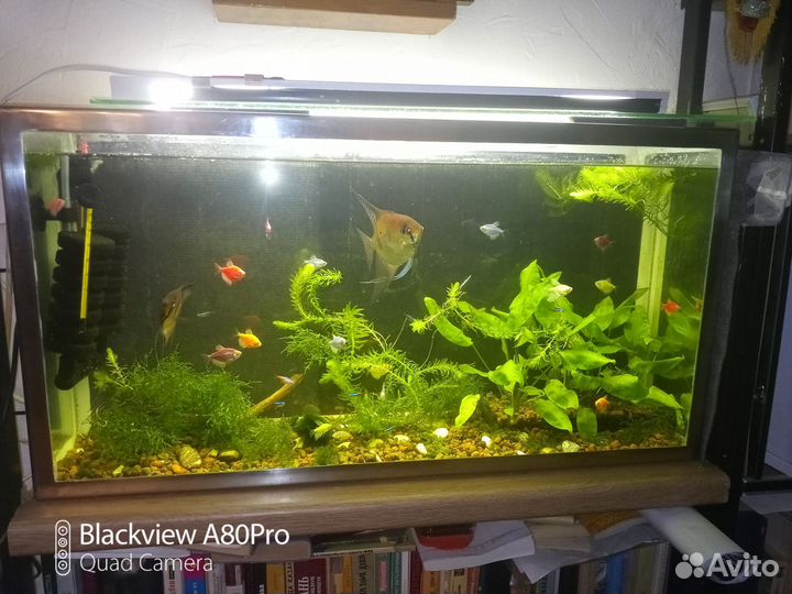 Украшение для аквариума