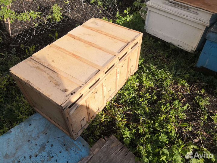 Пакет на пять мест, для пчел