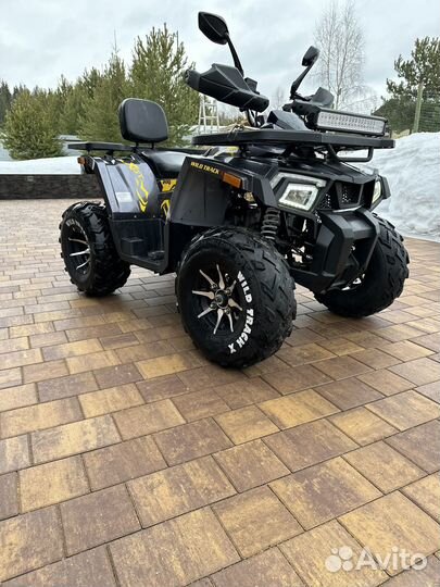 Motoland wild track x pro 200