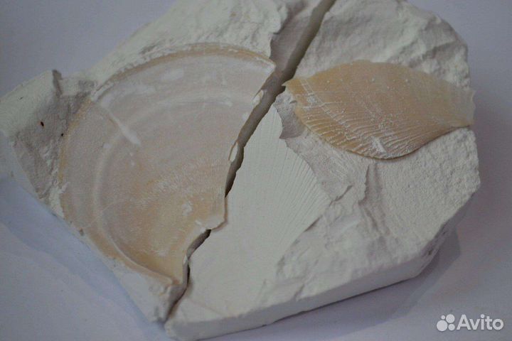 Мел для еды