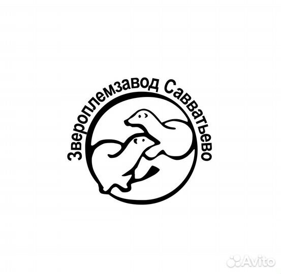 Механик по ремонту средств малой механизации