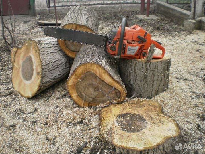 Спил деревьев. Копка ям