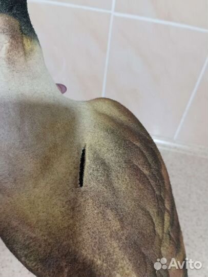 Копилка для денег