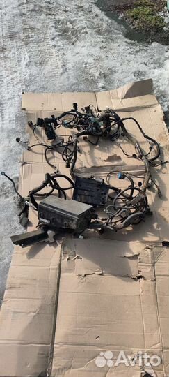 Проводка моторного отсека Ford Kuga 2 (12-16) SUV