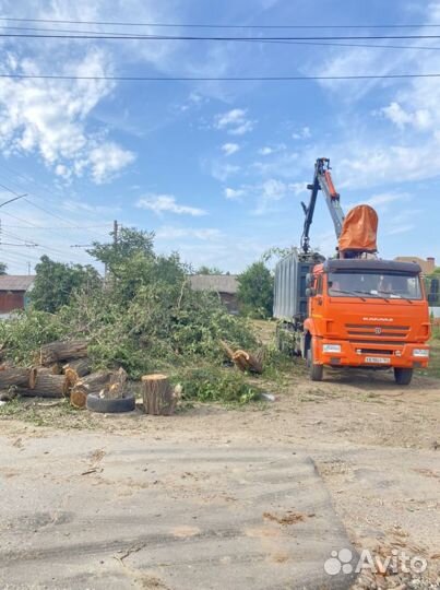 Спил деревьев, расчистка участков, вывоз