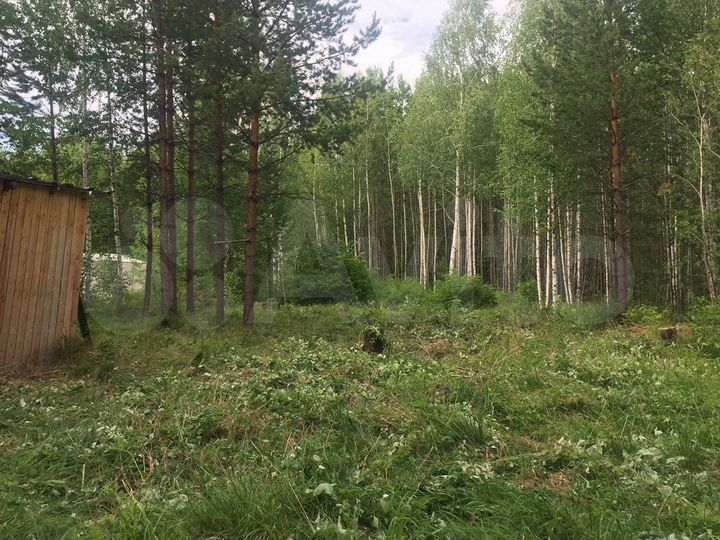 Участок 14 сот. (СНТ, ДНП)