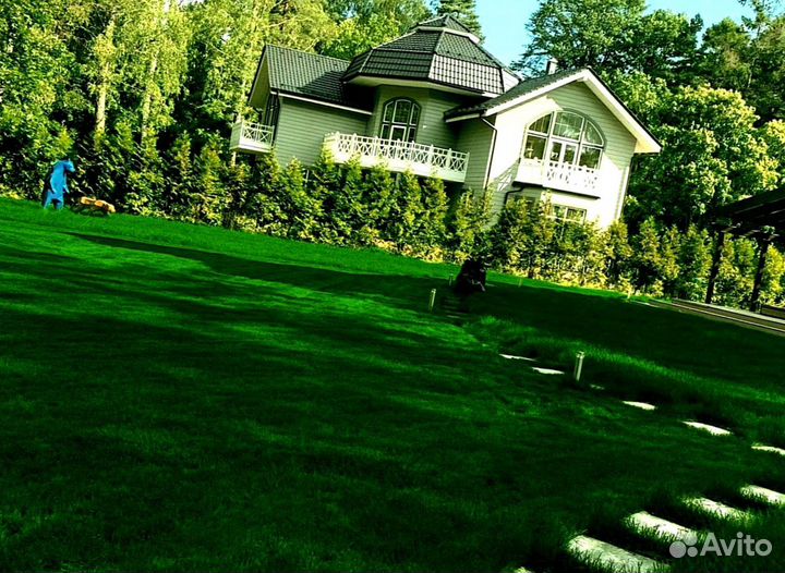 Рулонный газон