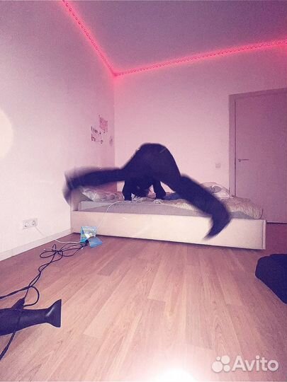 Поиграйтк со мной в бравлик пжлст