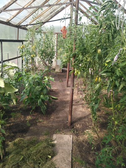 Дача 45 м² на участке 7,1 сот.