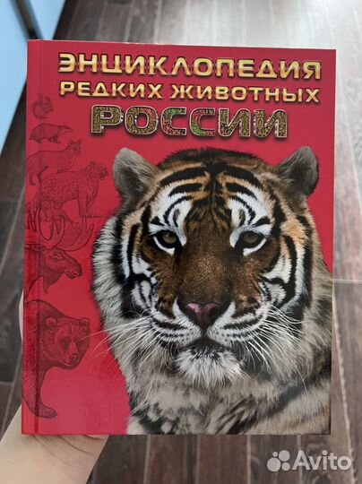 Детская энциклопедия