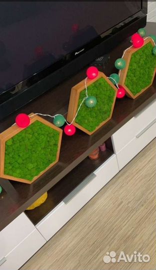 Соты из мха картина со мхом мох стабилизированный