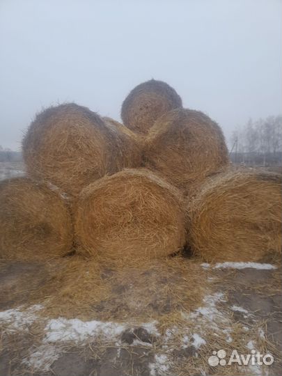 Солома в рулонах