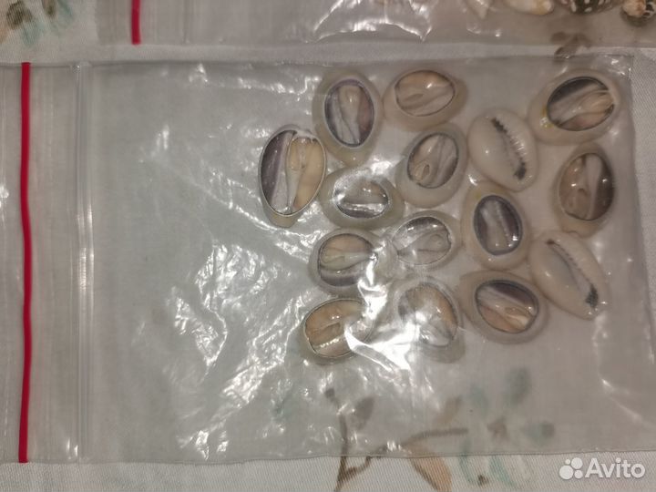 Два пакетика с натуральными ракушеками