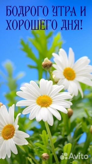 Охрана труда, пожарная безопасность, го и чс, опо