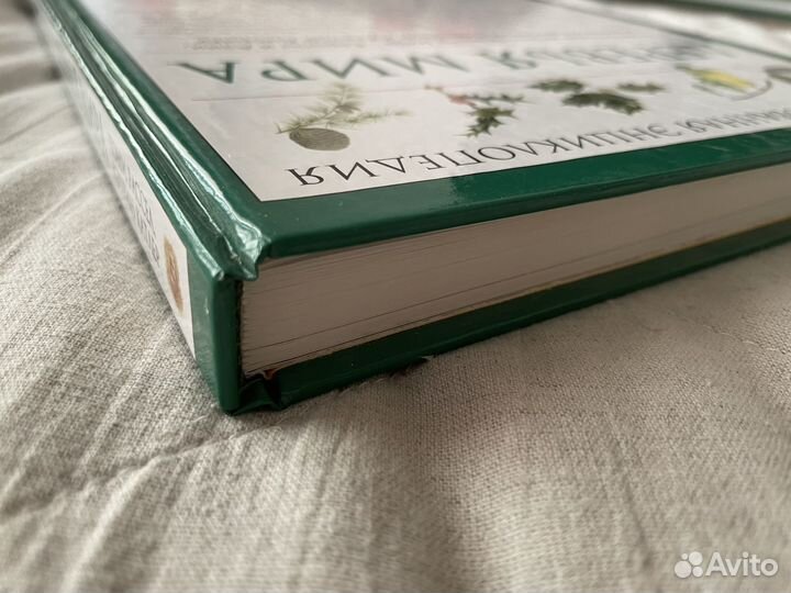 Книги. Энциклопедия. Книги для детей