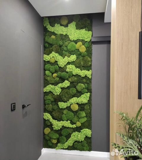 Панно из мха микс видов и цветов