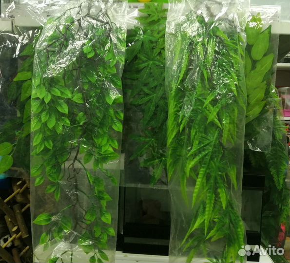 Террариум для рептилий и все необходимое