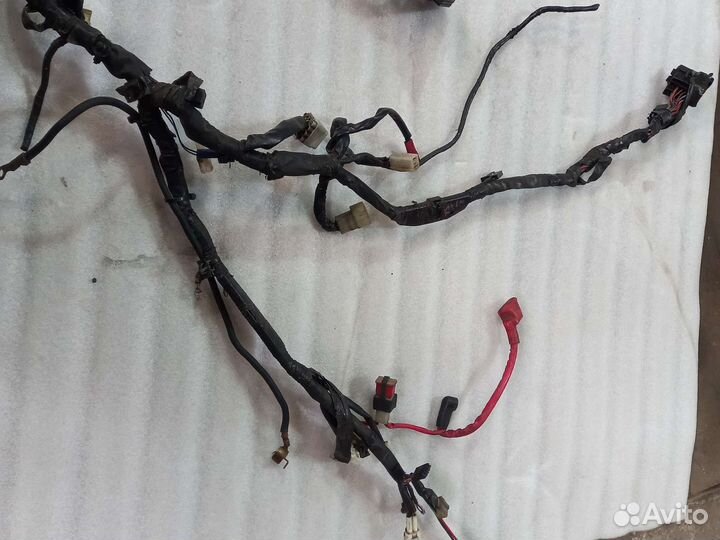 Проводка, коса Yamaha YZF R1 04-06