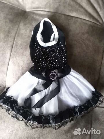 Платье и свитер для собаки