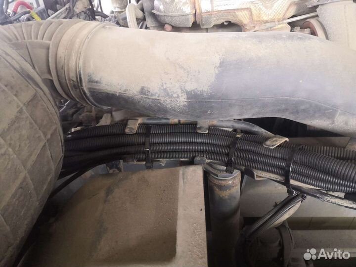 Новая электропроводка коса(жгут)на DAF с акпп/мкпп