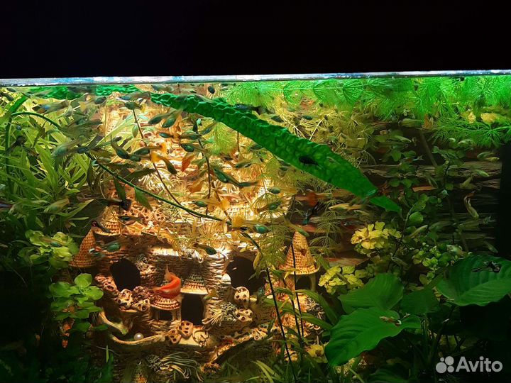 Украшение для аквариума