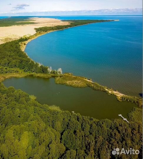 Куршская Коса экскурсия индивидуальные поездки