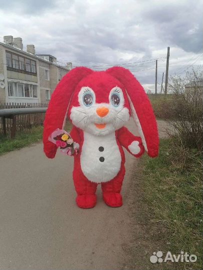 Аэрокостюм 