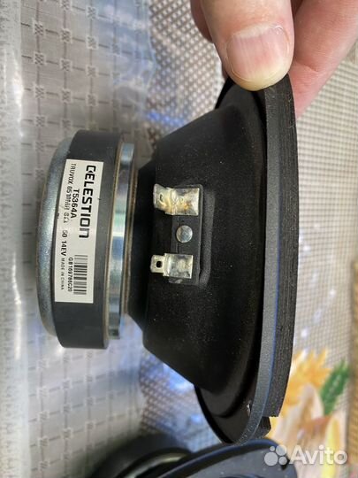 Динамики Celestion Truvox