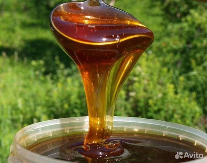 Мед гречишный