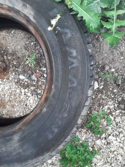 Шины волдай