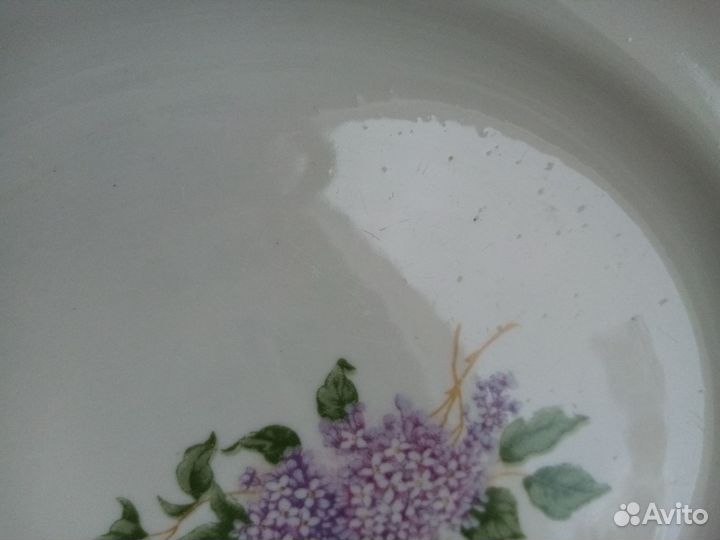 Тарелка Сирень, времён СССР