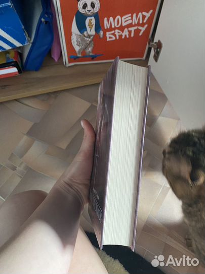 Книга