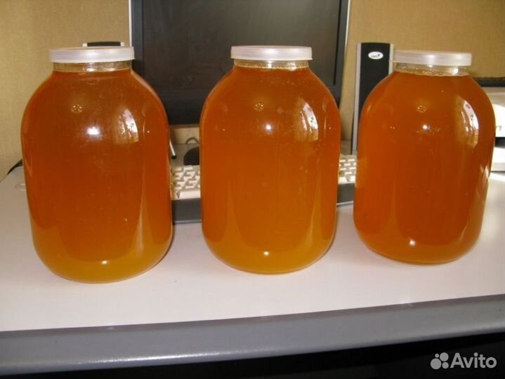 Мед сафлор 2023 с бесплатной доставкой